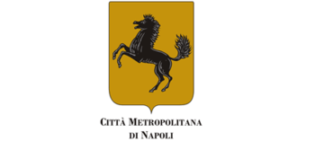 Città metropolitana: «Prg con 10 zone omogenee»