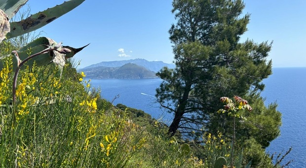 A Capri “adotta un sentiero”: il regolamento