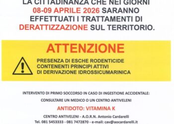 Anacapri: interventi di derattizzazione l’8 e il 9 aprile