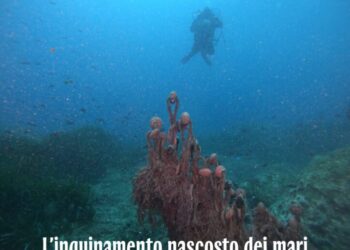 Ghost in the Blue. L’inquinamento nascosto dei mari: martedì 14 aprile alla sala Pollio
