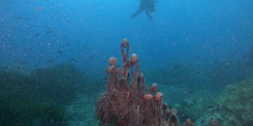 Ghost in the Blue. L’inquinamento nascosto dei mari: martedì 14 aprile alla sala Pollio