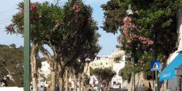 Progetto di ampliamento a Capri: nuovo piazzale Europa