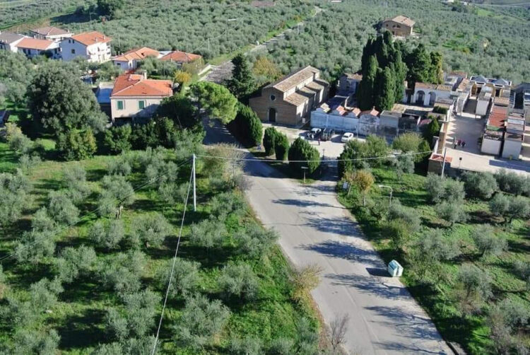 Un ponte d’oro verde tra terra e mare: Moscufo e Anacapri celebrano il futuro dell’olivicoltura mediterranea