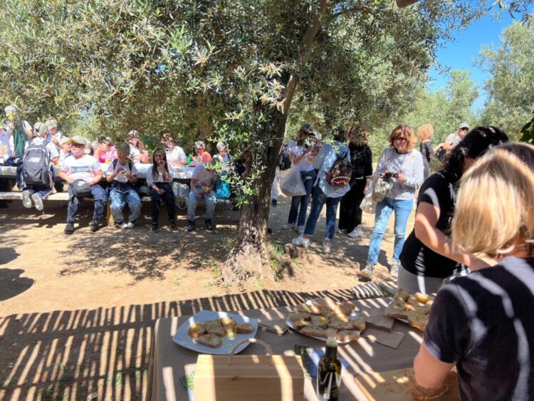 L’Oro di Capri coltiva il futuro: questa domenica 31 Maggio, in collaborazione con Città dell’Olio, torna “la Merenda nell’oliveta”