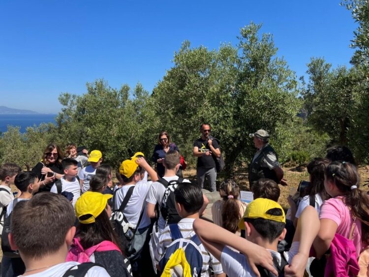 L’Oro di Capri coltiva il futuro: questa domenica 31 Maggio, in collaborazione con Città dell’Olio, torna “la Merenda nell’oliveta”