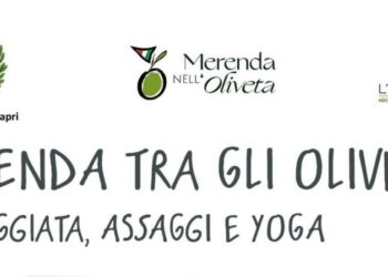 Anacapri: MERENDA TRA GLI OLIVI, Domenica 31 maggio ORE 9.30 A “PINO DEI MONACI”