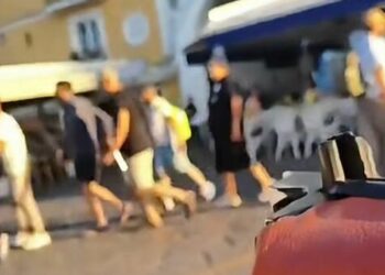 Capri: lite al porto di Marina Grande tra due gruppi in gita: intervengono le forze dell’ordine