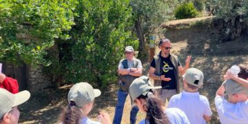 Yoga, sapori autentici e ulivi millenari: ad Anacapri torna la magia della “Merenda nell’Oliveta”