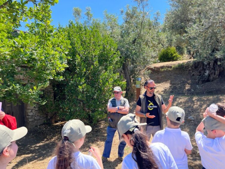 L’Oro di Capri coltiva il futuro: questa domenica 31 Maggio, in collaborazione con Città dell’Olio, torna “la Merenda nell’oliveta”