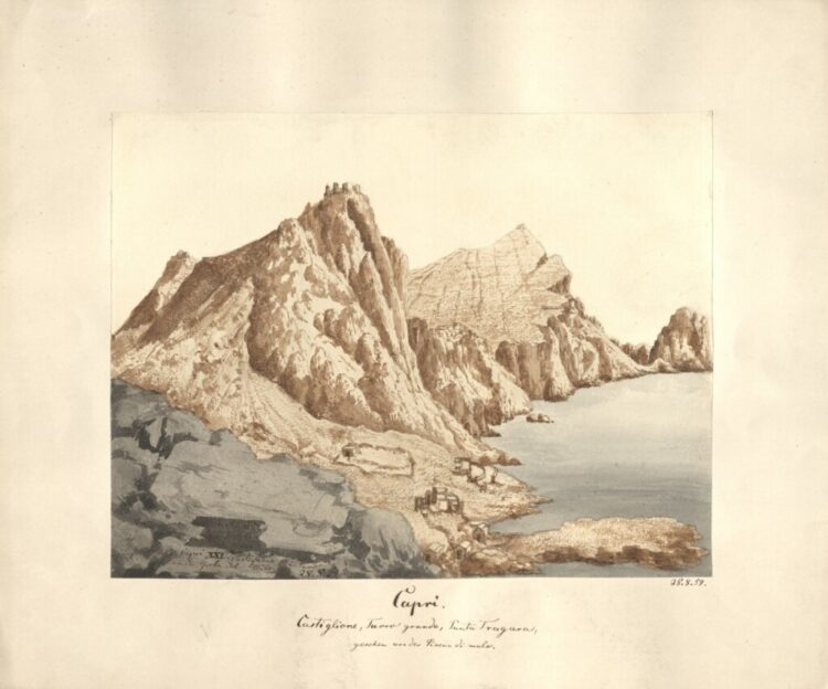 Haeckel e Capri – Forme artistiche del mare – Opening 22 maggio ore 18.30 – Fondazione SMZ