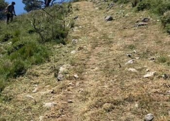 Amici di Cetrella: intervento di pulizia e sistemazione dei sentieri e delle barriere spartifuoco – photogallery