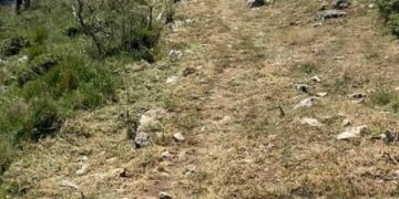 Amici di Cetrella: intervento di pulizia e sistemazione dei sentieri e delle barriere spartifuoco – photogallery