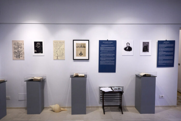 HAECKEL E CAPRI. Forme artistiche del mare Mostra e ciclo di conferenze : 29 maggio – 7 e 12 Giugno – Fondazione SMZ