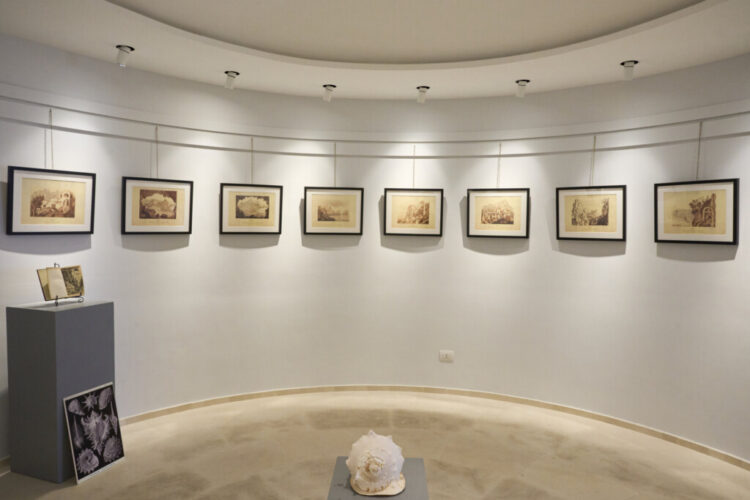 HAECKEL E CAPRI. Forme artistiche del mare Mostra e ciclo di conferenze : 29 maggio – 7 e 12 Giugno – Fondazione SMZ