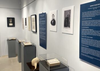 A Capri continua alla Fondazione Messanelli la mostra dedicata a Haeckel