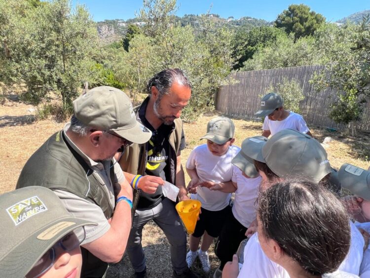 L’Oro di Capri coltiva il futuro: questa domenica 31 Maggio, in collaborazione con Città dell’Olio, torna “la Merenda nell’oliveta”