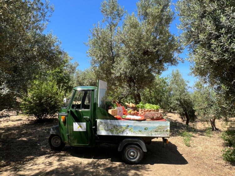 L’Oro di Capri: Successo per la “Merenda nell’oliveta” tra biodiversità, benessere e il Tricolore