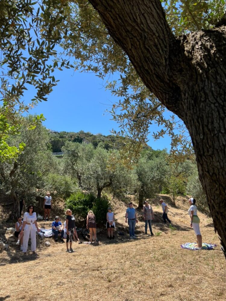 L’Oro di Capri: Successo per la “Merenda nell’oliveta” tra biodiversità, benessere e il Tricolore