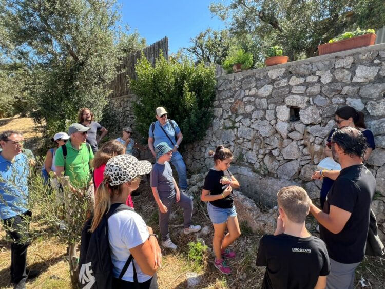 L’Oro di Capri: Successo per la “Merenda nell’oliveta” tra biodiversità, benessere e il Tricolore