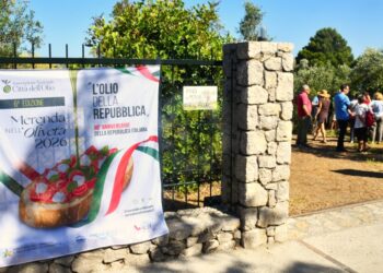 L’Oro di Capri: Successo per la “Merenda nell’oliveta” tra biodiversità, benessere e il Tricolore