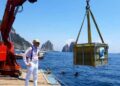 L’immersione del limoncello dell’Antica Distilleria Petrone a Capri