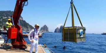 L’immersione del limoncello dell’Antica Distilleria Petrone a Capri