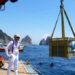 L’immersione del limoncello dell’Antica Distilleria Petrone a Capri