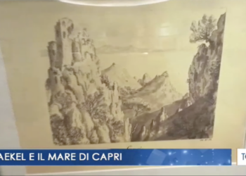 TGR: “Haeckel e Capri”, scienza e arti visive che si intrecciano (video)