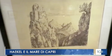 TGR: “Haeckel e Capri”, scienza e arti visive che si intrecciano (video)