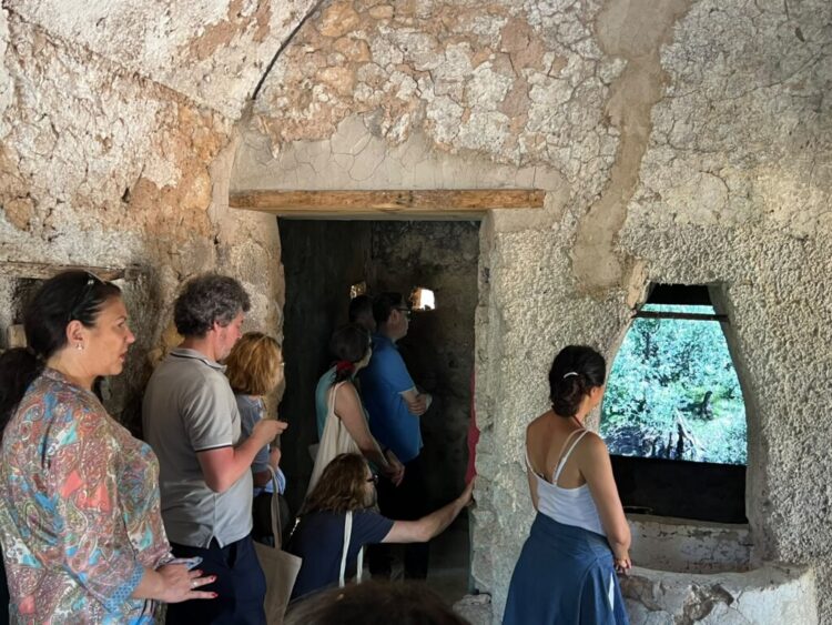 L’Oro di Capri: Successo per la “Merenda nell’oliveta” tra biodiversità, benessere e il Tricolore