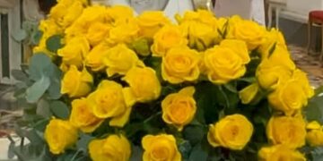 Peppino Di Capri, dopo i funerali il figlio Edoardo sogna un disco tributo in suo onore