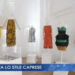 TGR: IN MOSTRA LO STILE CAPRESE (Video)