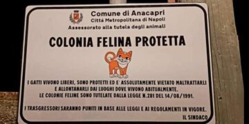 A Capri e Anacapri multe salate per chi non ha a cuore gli animali