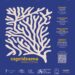 CAPRIDRAMA OPERA FESTIVAL TORNA A CAPRI