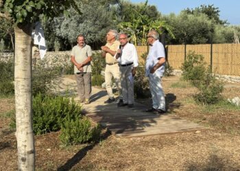 “L’Oro di Capri” recupera un’area di Pino dei Monaci e dedica tre alberi alle figure simbolo della comunità di Anacapri