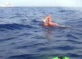 Scimonetti, il giro di Capri a nuoto: «Festa dei valori sportivi»