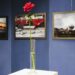 LA MOSTRA “R.O.S.A.” PROROGATA FINO AL 17 OTTOBRE 2026