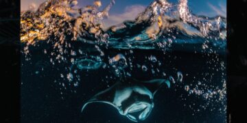 «Il respiro dell’Oceano»: ad Anacapri la mostra fotografica della Fondation Prince Albert II de Monaco