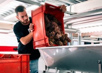 Cantina Futurista: a settembre la vinificazione si guarda dal ristorante
