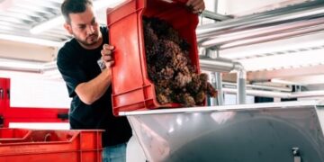 Cantina Futurista: a settembre la vinificazione si guarda dal ristorante