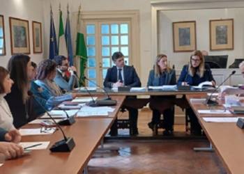 Revisore dei conti, il caso in consiglio