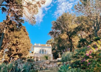Operazione cura degli alberi a Capri