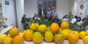 Anacapri: il limone protagonista in un evento all’IISS Axel Munthe (Gallery)