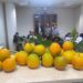 Anacapri: il limone protagonista in un evento all’IISS Axel Munthe (Gallery)