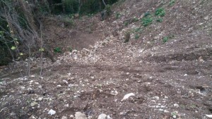 discarica bonificata