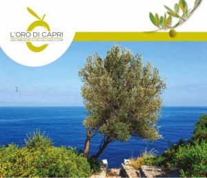 logo-oro-di-capri