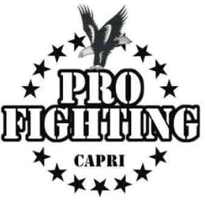 profighting