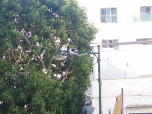 telecamera