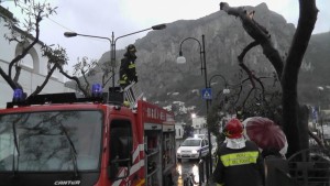 vigili del fuoco albero via roma